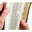 BIBLE INDEXING TABS MINI